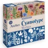 Atelier Cianotipos Herbario