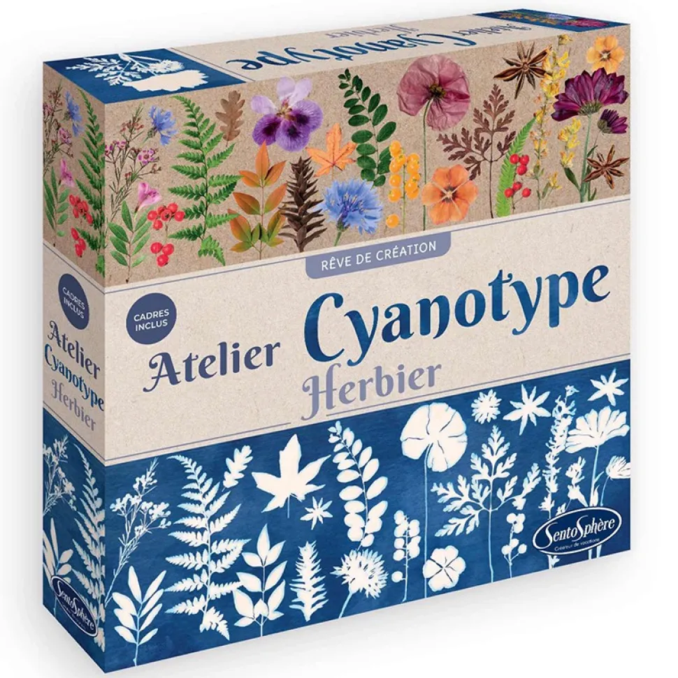 Atelier Cianotipos Herbario