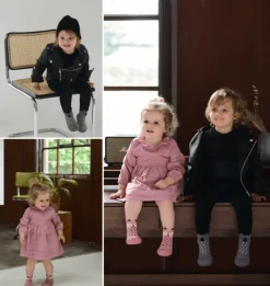 Attipas · Koala Gris