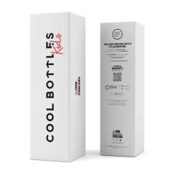 Botella Acero Curious Explorers 350ml · Cool Bottles