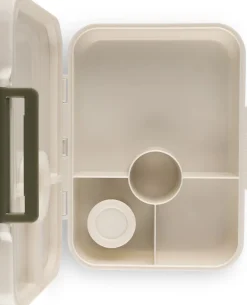 Citron Caja Almuerzo mediana de tritán Dino