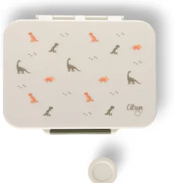 Citron Caja Almuerzo mediana de tritán Dino