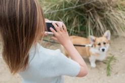 Cámara Fotográfica Urban Zoo Unicorn · The Zoofamily