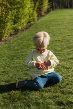 Cámara Fotográfica Urban Zoo Fox · The Zoofamily