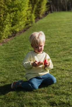 Cámara Fotográfica Urban Zoo Fox · The Zoofamily