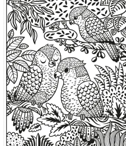 Colorea por arte de magia · Un Zoo