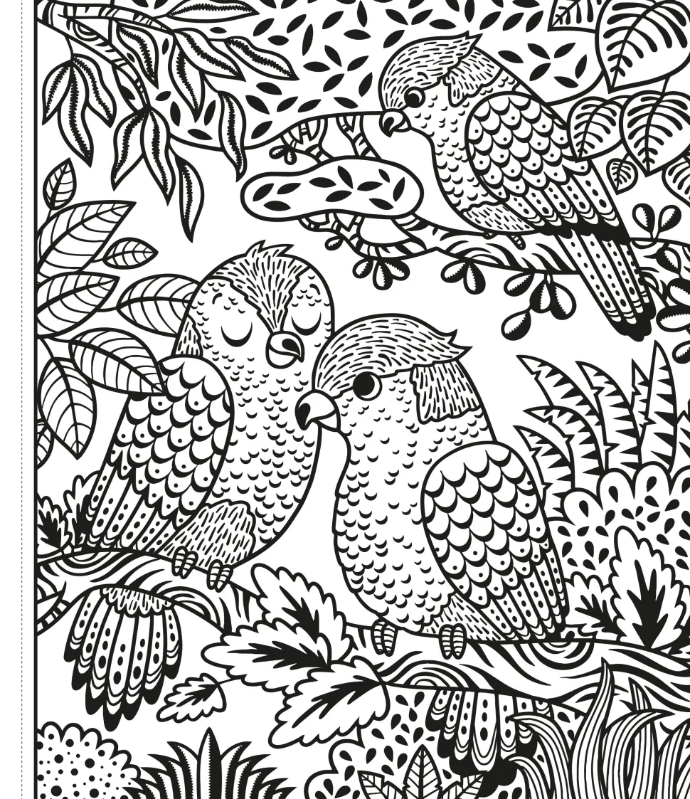 Colorea por arte de magia · Un Zoo