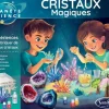 Cristales Mágicos · Sentosphere