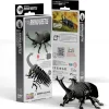 EUGY · Escarabajo Rhino
