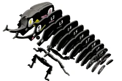 EUGY · Escarabajo Rhino