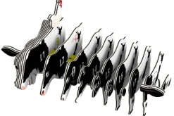 EUGY · Vaca Holstein