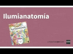 Ilumianatomía