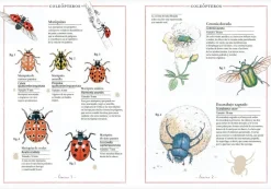 Inventario Ilustrado de Insectos
