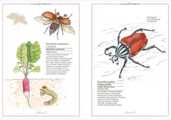 Inventario Ilustrado de Insectos