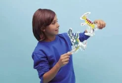 Juego OMY Dinos para colorear e inflar