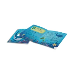 Kidystar · Kidywolf