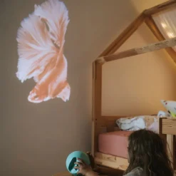 Kidystar · Kidywolf