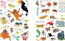 Libro de pegatinas · La Selva