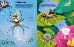 Libro de pegatinas Bichitos