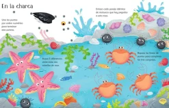 Libro Pizarra · Vamos a la playa