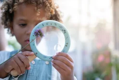 Lupa Forest Friends FSC · Little Dutch