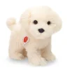 Maltese dog standing 23 cm · Hermann Teddy