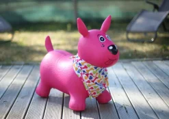 Mi perro saltarín rosa · Ludi