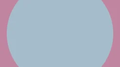 Patines Twista Rainbow · Yvolution