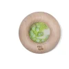 Petit Boum · Sensory donut Kiwi