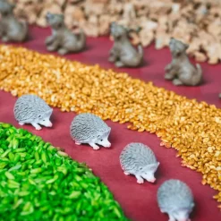 Petit Boum · Spy Bottle Forest