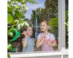 Rotuladores de ventana · Tiger Tribe