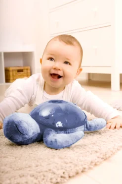 Tranquil Turtle · Cloud B