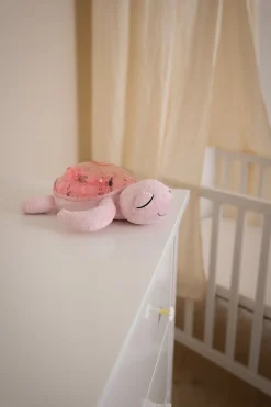 Tranquil Turtle · Cloud B