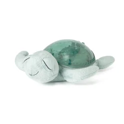 Tranquil Turtle · Cloud B