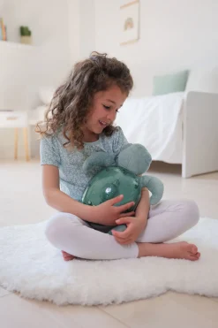 Tranquil Turtle · Cloud B