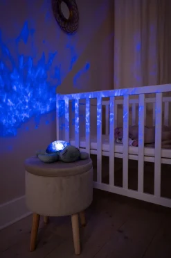 Tranquil Turtle · Cloud B