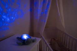 Tranquil Turtle · Cloud B