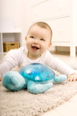 Tranquil Turtle · Cloud B