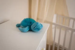 Tranquil Turtle · Cloud B