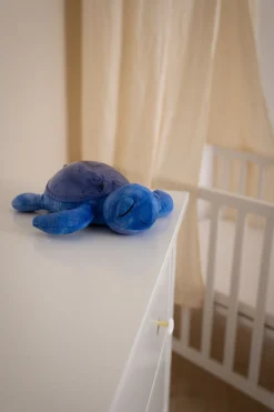 Tranquil Turtle · Cloud B